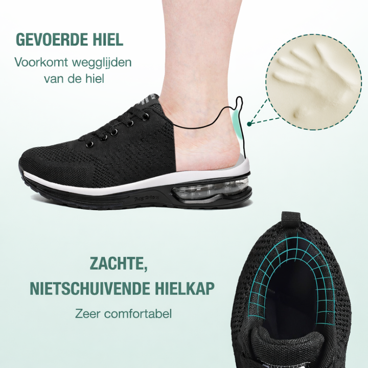 Basket Timo